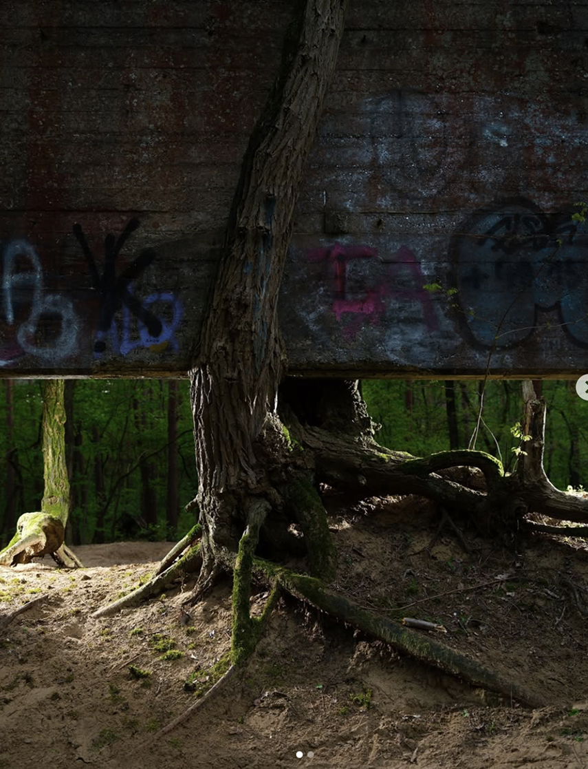 Wandel gestalten